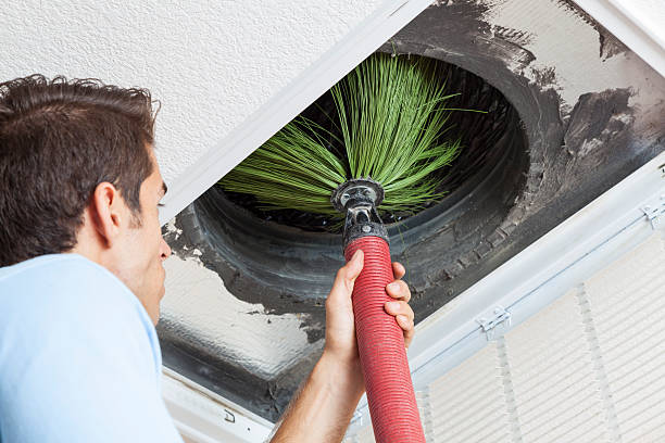 Best Air Duct Mold Removal  in Algoma, WI